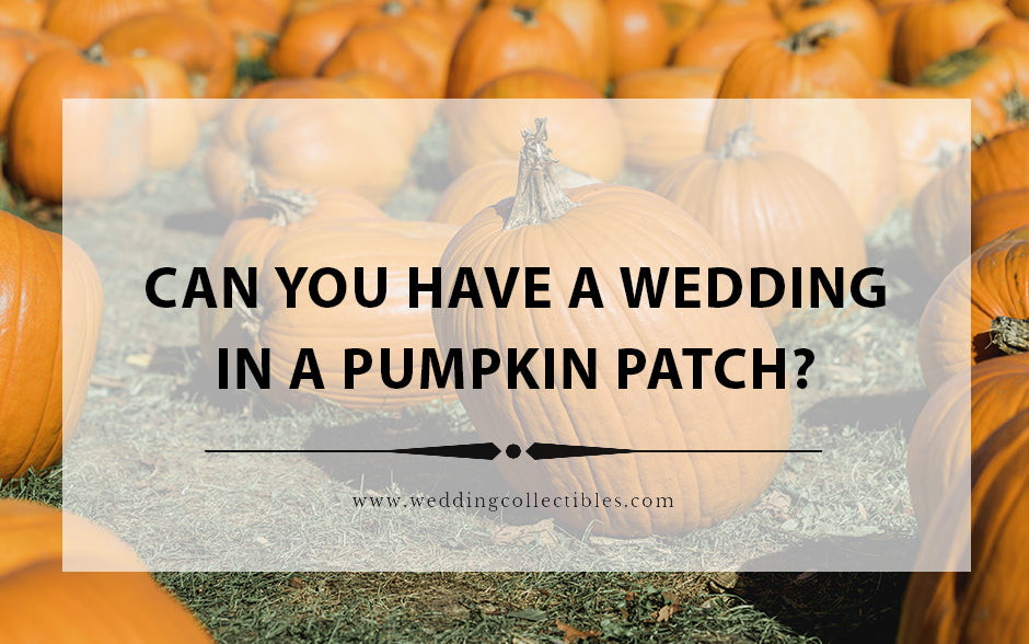 Can You Have A Wedding In A Pumpkin Patch?