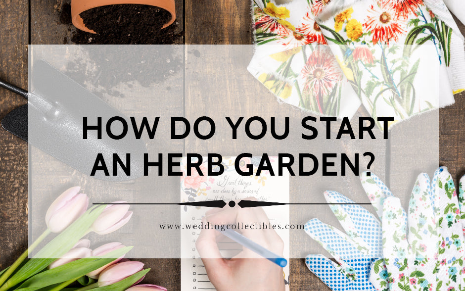 How Do You Start a Herb Garden?
