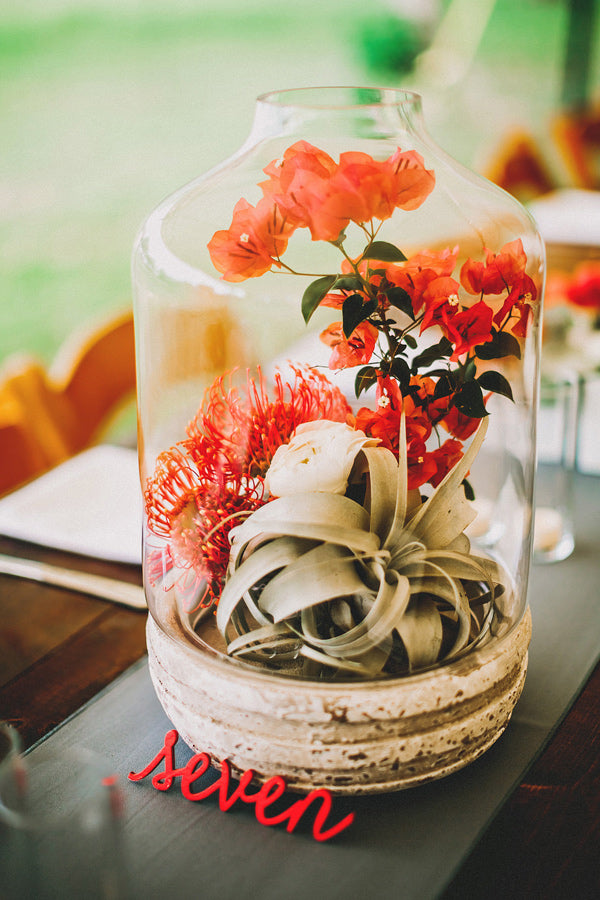 How to Create Dynamic Table Centerpieces with Terrariums