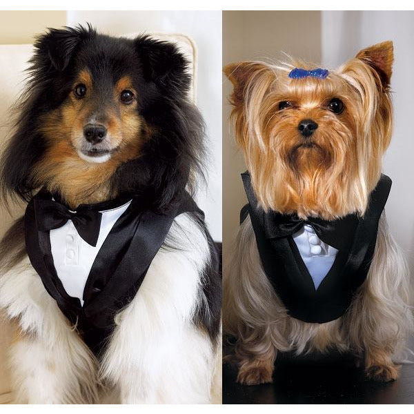Pet Tux - Wedding Collectibles
